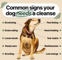 Dog Parasite Cleanse Drops) 2