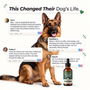Dog Parasite Cleanse Drops) 6