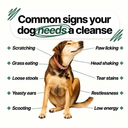 Dog Parasite Cleanse Drops) 2